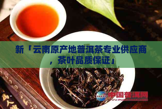 新「云南原产地普洱茶专业供应商，茶叶品质保证」