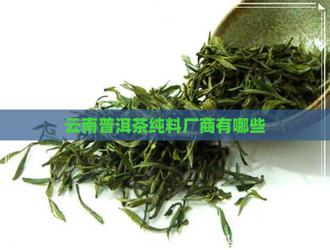 云南普洱茶纯料厂商有哪些