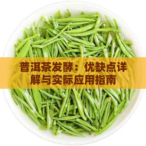 普洱茶发酵：优缺点详解与实际应用指南