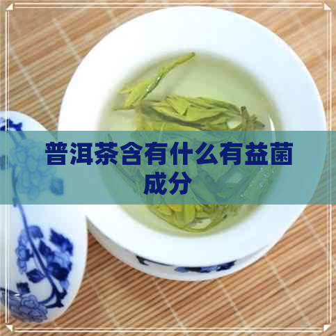 普洱茶含有什么有益菌成分