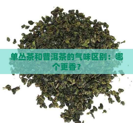 单丛茶和普洱茶的气味区别：哪个更香？