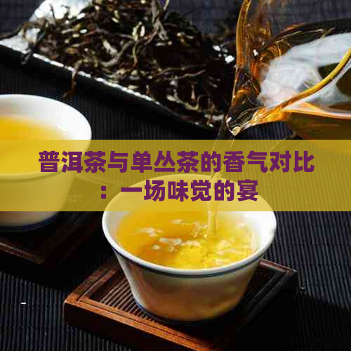 普洱茶与单丛茶的香气对比：一场味觉的宴