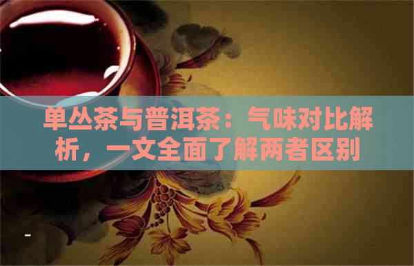 单丛茶与普洱茶：气味对比解析，一文全面了解两者区别