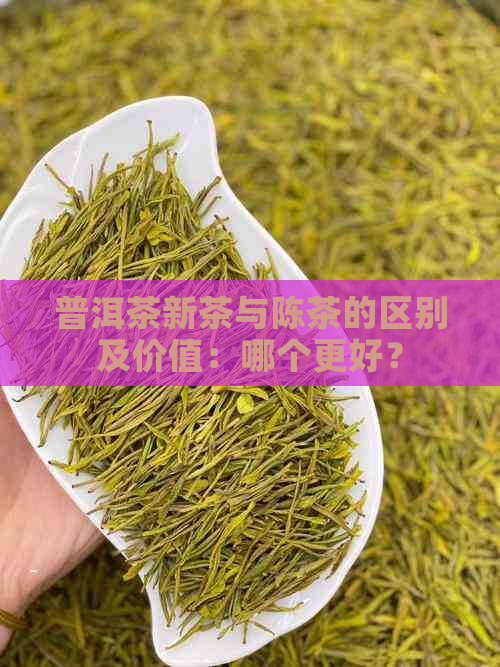 普洱茶新茶与陈茶的区别及价值：哪个更好？