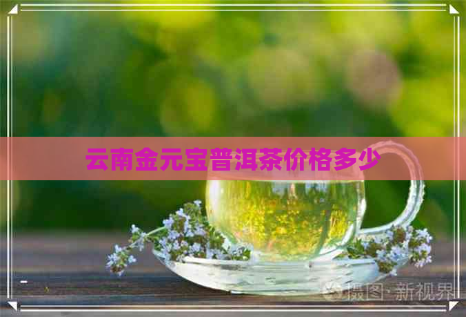 云南金元宝普洱茶价格多少