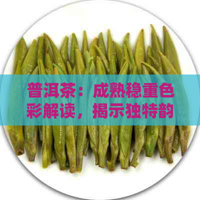 普洱茶：成熟稳重色彩解读，揭示独特韵味