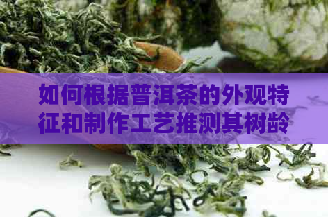 如何根据普洱茶的外观特征和制作工艺推测其树龄大小？