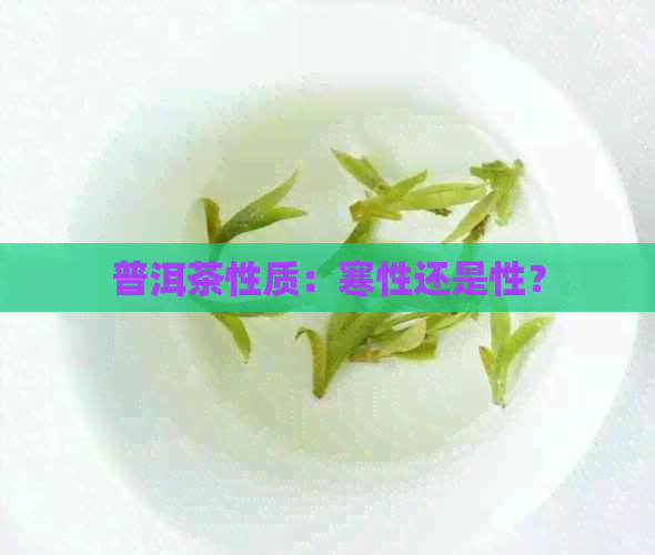 普洱茶性质：寒性还是性？