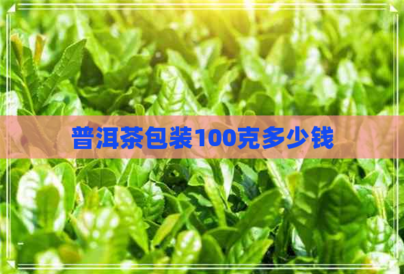 普洱茶包装100克多少钱