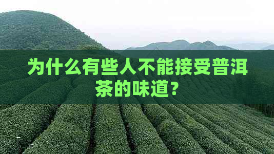 为什么有些人不能接受普洱茶的味道？