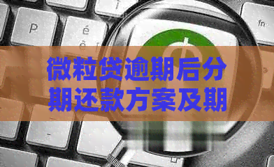 微粒贷逾期后分期还款方案及期数查询