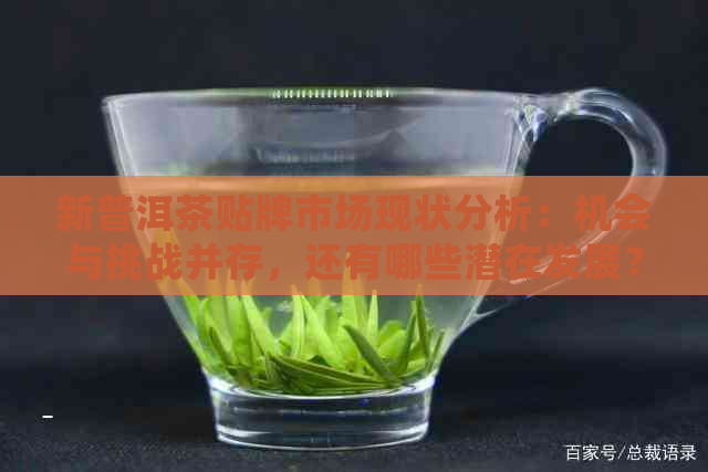 新普洱茶贴牌市场现状分析：机会与挑战并存，还有哪些潜在发展？