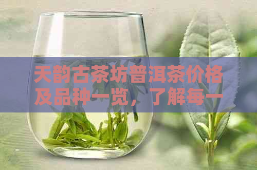 天韵古茶坊普洱茶价格及品种一览，了解每一斤的价格与特点