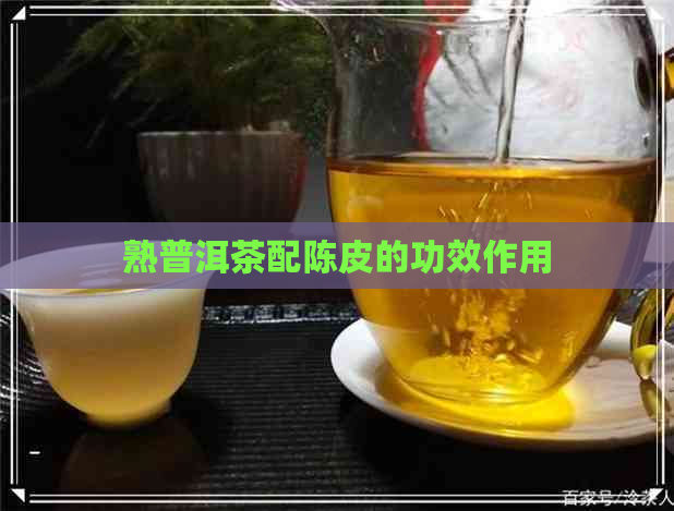 熟普洱茶配陈皮的功效作用