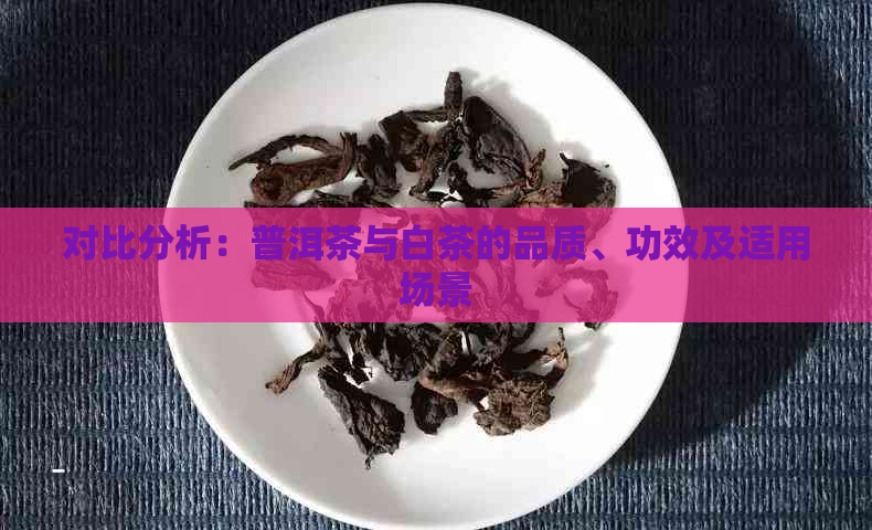 对比分析：普洱茶与白茶的品质、功效及适用场景