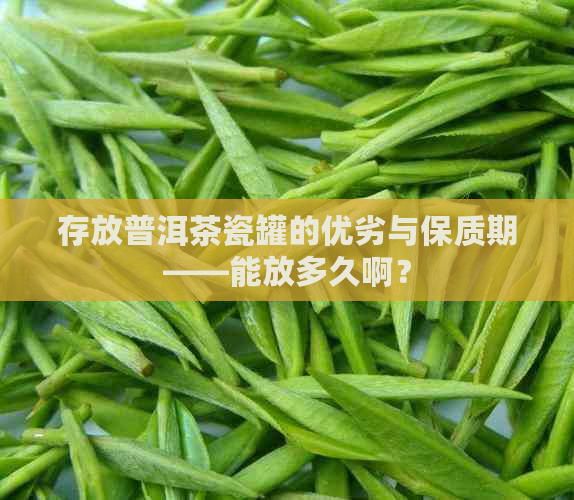 存放普洱茶瓷罐的优劣与保质期——能放多久啊？