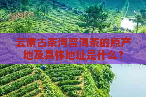 云南古茶湾普洱茶的原产地及具体地址是什么？