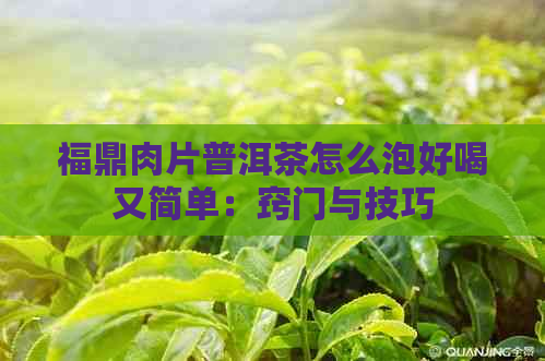 福鼎肉片普洱茶怎么泡好喝又简单：窍门与技巧