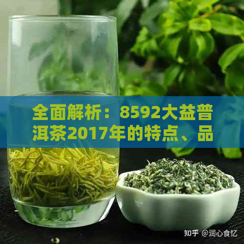 全面解析：8592大益普洱茶2017年的特点、品质、价格及冲泡方法