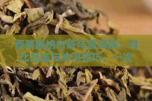 西双版纳白茶与普洱茶：对比品鉴与冲泡技巧，一次了解两种茶的魅力