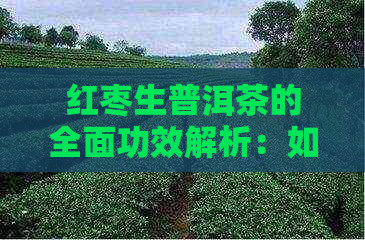 红枣生普洱茶的全面功效解析：如何改善健并提高生活质量