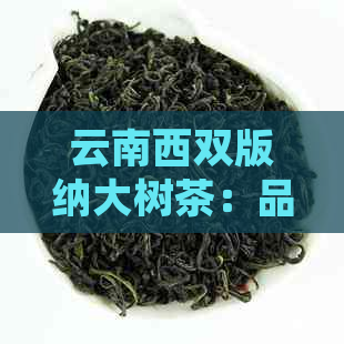 云南西双版纳大树茶：品种特点、制作工艺、品饮方法及健益处全方位解析