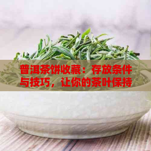 普洱茶饼收藏：存放条件与技巧，让你的茶叶保持活