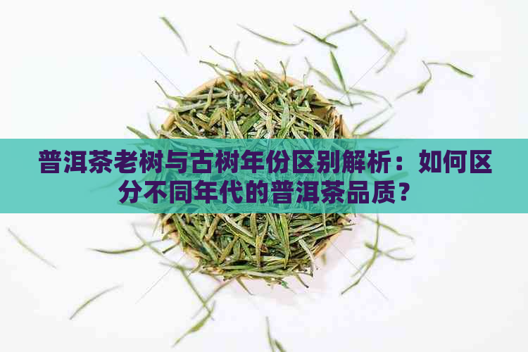 普洱茶老树与古树年份区别解析：如何区分不同年代的普洱茶品质？