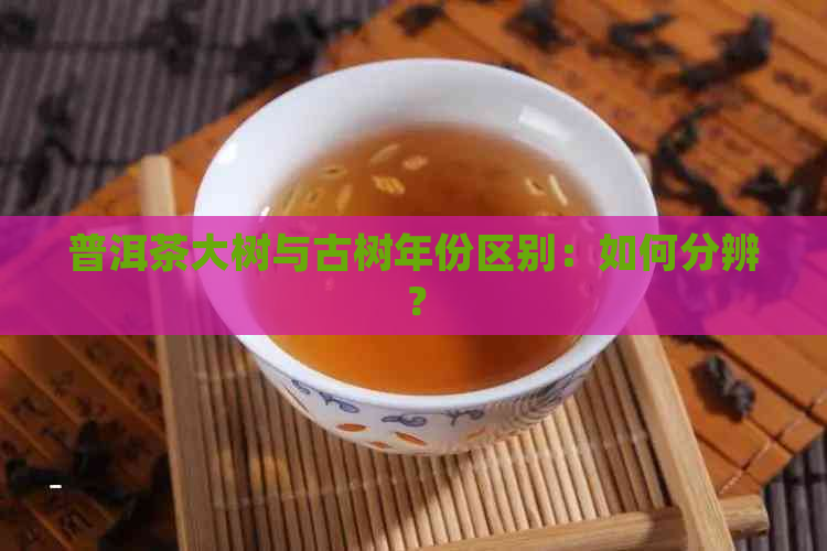 普洱茶大树与古树年份区别：如何分辨？