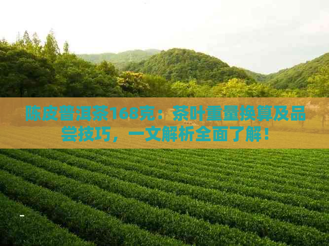 陈皮普洱茶168克：茶叶重量换算及品尝技巧，一文解析全面了解！