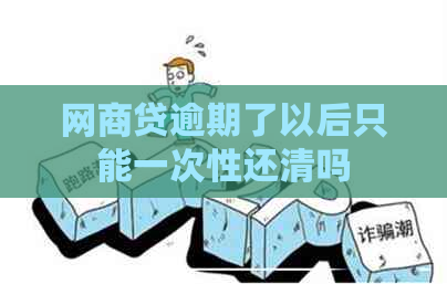 网商贷逾期了以后只能一次性还清吗