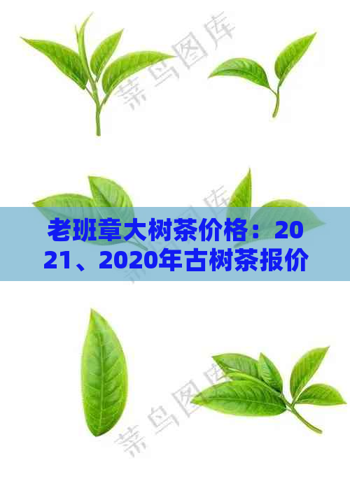 老班章大树茶价格：2021、2020年古树茶报价