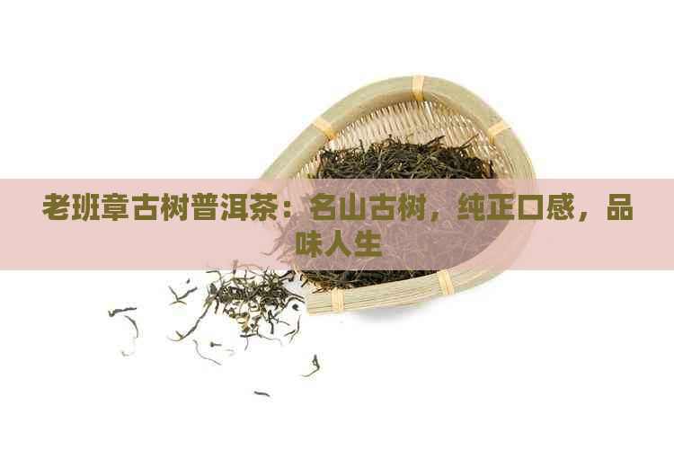 老班章古树普洱茶：名山古树，纯正口感，品味人生