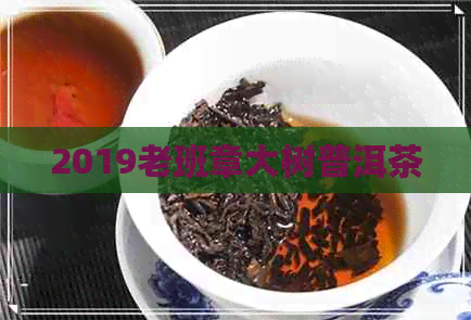 2019老班章大树普洱茶