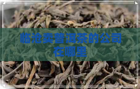 临沧卖普洱茶的公司在哪里