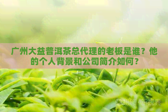 广州大益普洱茶总代理的老板是谁？他的个人背景和公司简介如何？