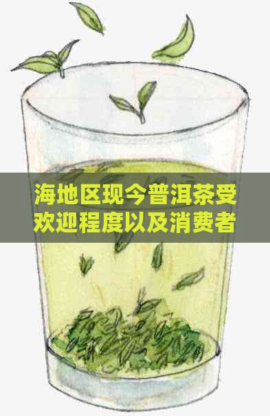 海地区现今普洱茶受欢迎程度以及消费者群体概述