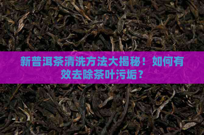 新普洱茶清洗方法大揭秘！如何有效去除茶叶污垢？