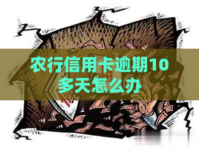 农行信用卡逾期10多天怎么办