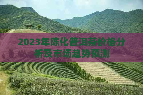 2023年陈化普洱茶价格分析及市场趋势预测