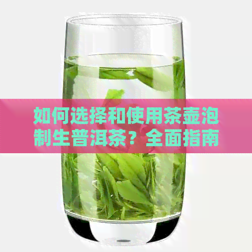 如何选择和使用茶壶泡制生普洱茶？全面指南解答您的疑问