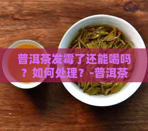 普洱茶发霉了还能喝吗？如何处理？-普洱茶发霉了还能泡吗