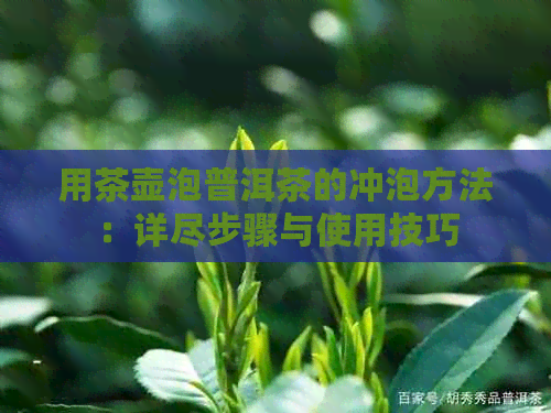 用茶壶泡普洱茶的冲泡方法：详尽步骤与使用技巧