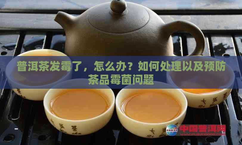 普洱茶发霉了，怎么办？如何处理以及预防茶品霉菌问题