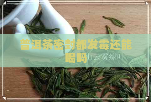 普洱茶密封都发霉还能喝吗