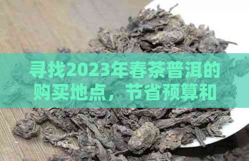 寻找2023年春茶普洱的购买地点，节省预算和享受优质茶叶体验