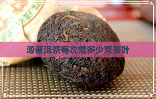 泡普洱茶每次需多少克茶叶