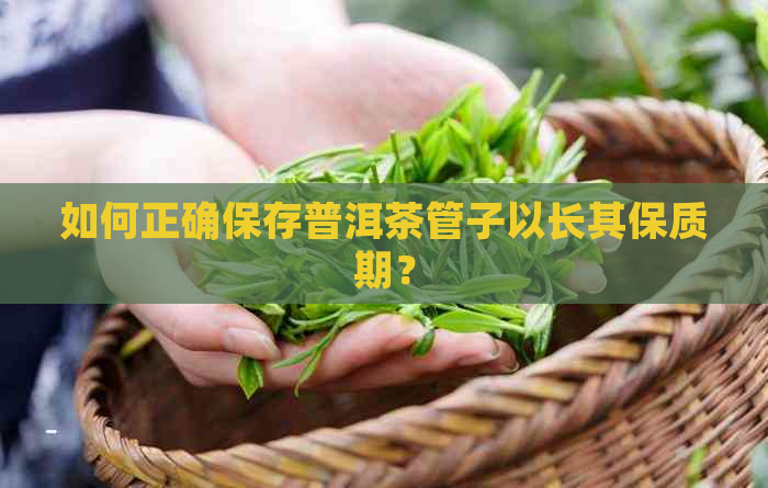 如何正确保存普洱茶管子以长其保质期？