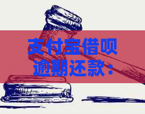 支付宝借呗逾期还款：几天不还款才会受到影响？