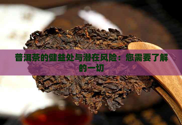 普洱茶的健益处与潜在风险：您需要了解的一切